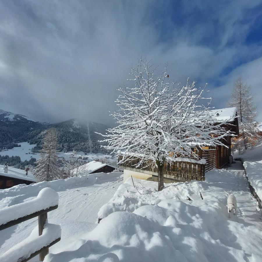 Chambre D'Hotes L'Ours Bleu Les Diablerets Luaran gambar