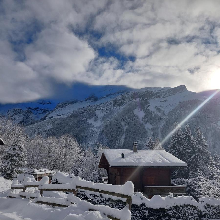Chambre D'Hotes L'Ours Bleu Les Diablerets Luaran gambar